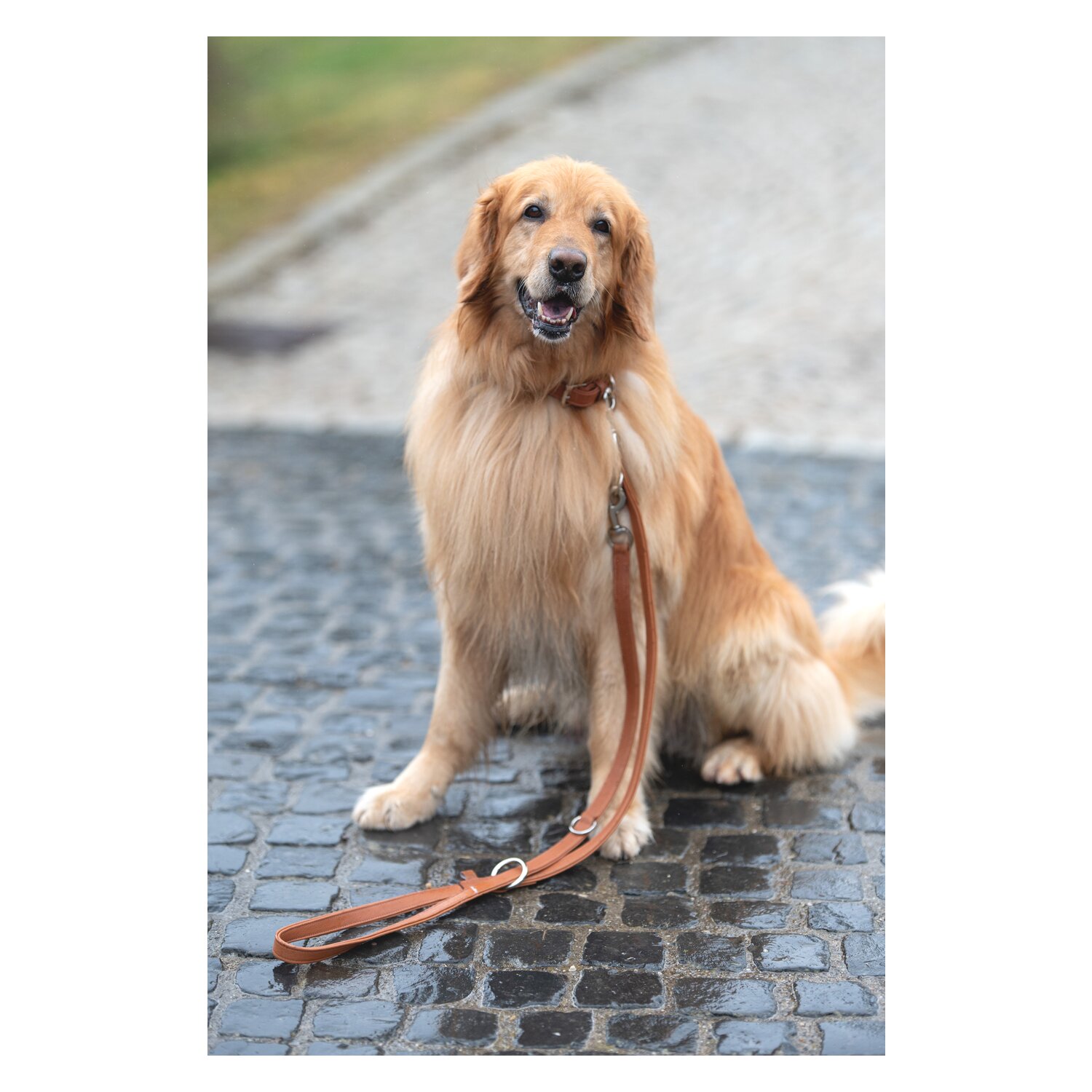 pawberry Hundeleine Melun  - tan/tan