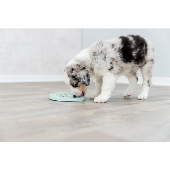Assiette à lécher Junior Lick’n'Snack Trixie pour chiot