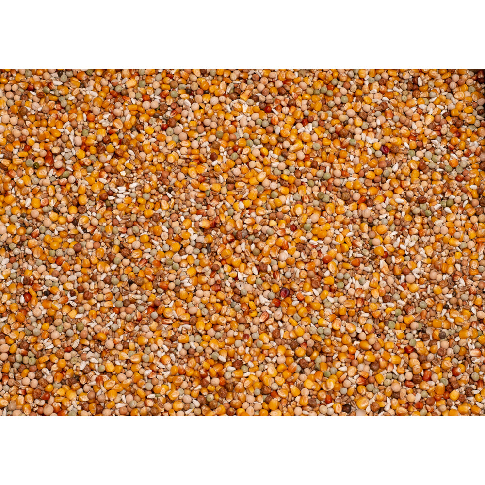 Beyers Original Sport 25 kg
