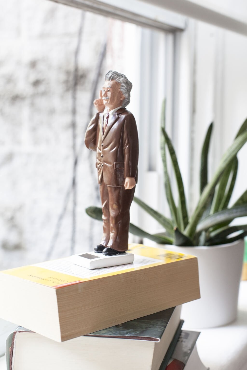 Einstein Solcelle Figur - Kikkerland