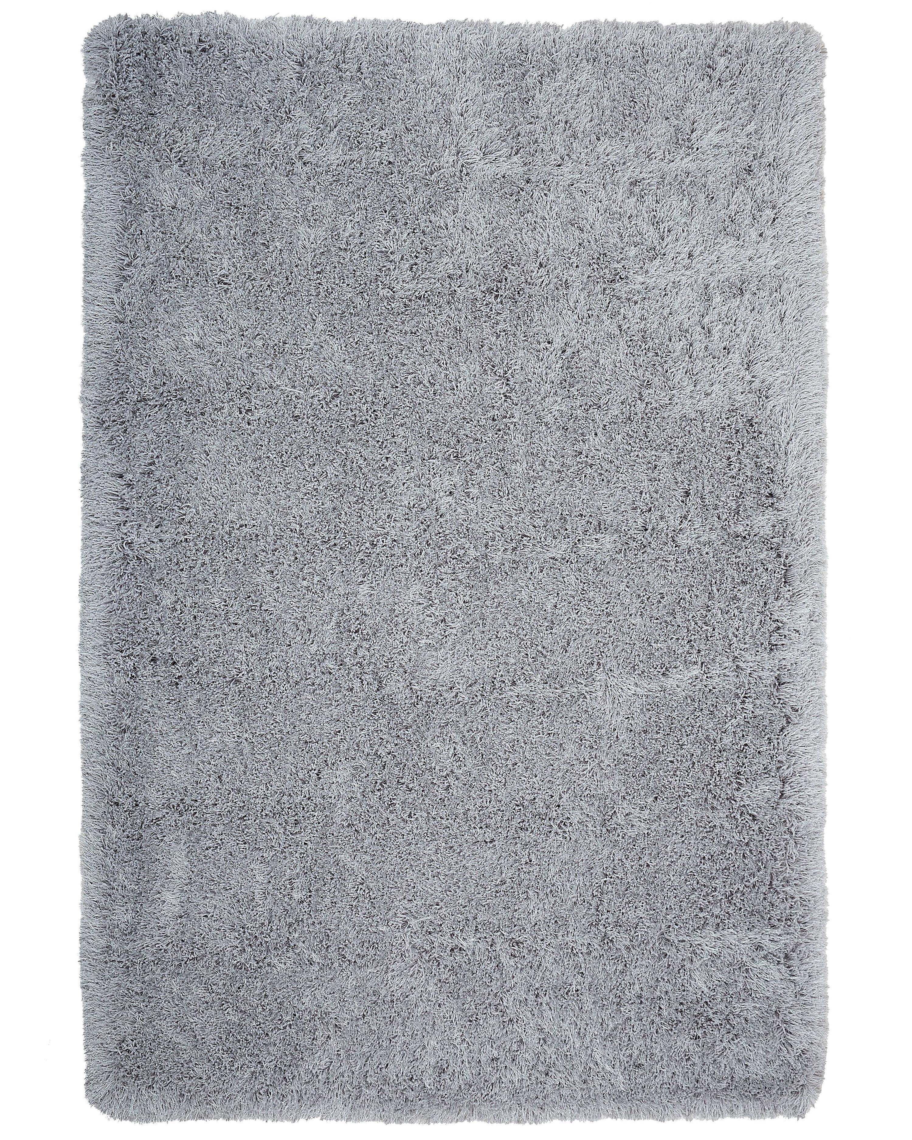 Hoogpoligvloerkleed CIDE Lichtgrijs 200 x 300 cm