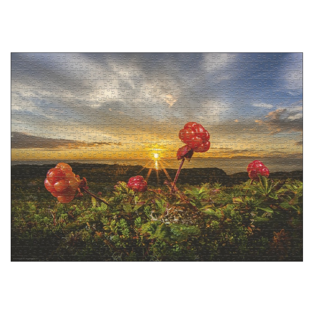 Puzzle - Cloudbeeries - 1000 Pièces