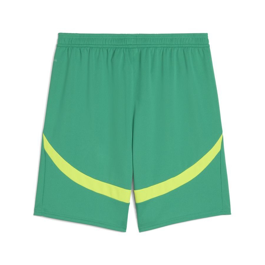 Puma Senegal 2025 Shorts