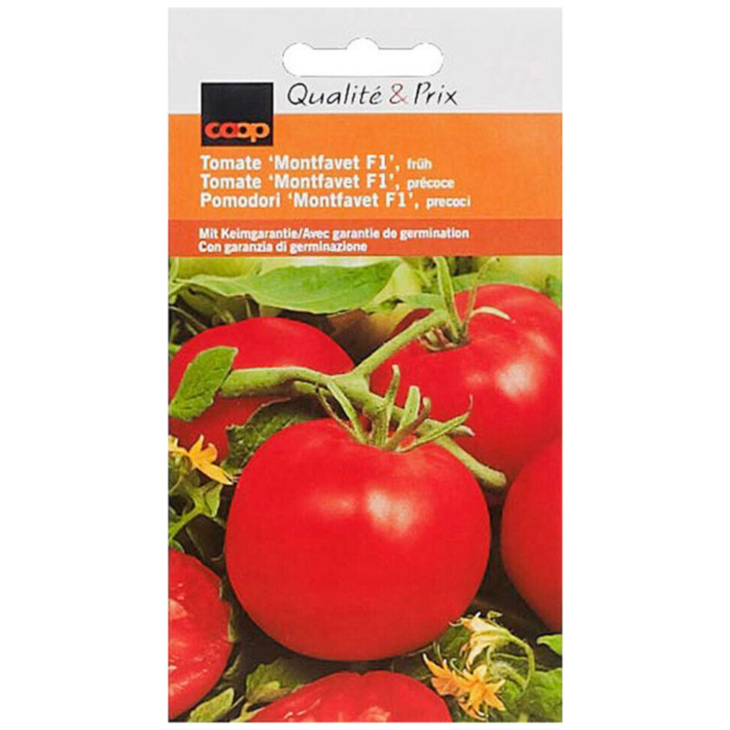 Tomate Montfavet früh