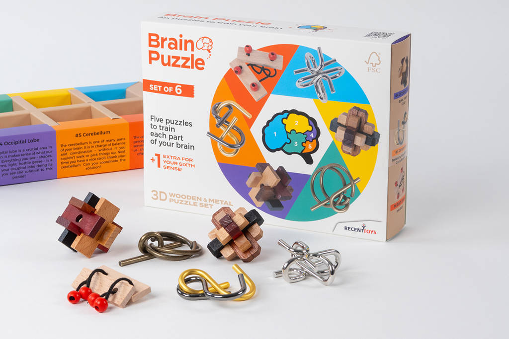 Brain Puzzle set of 6