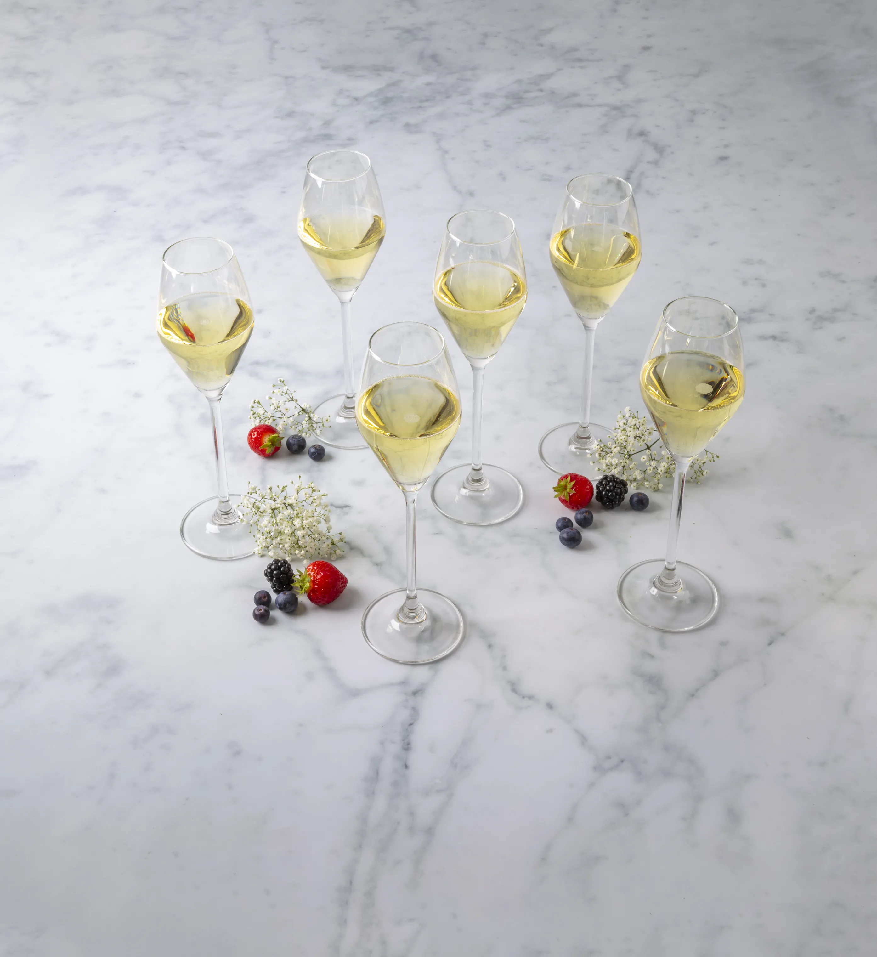 CASA Living Toscana Champagneglas - 6 stk.