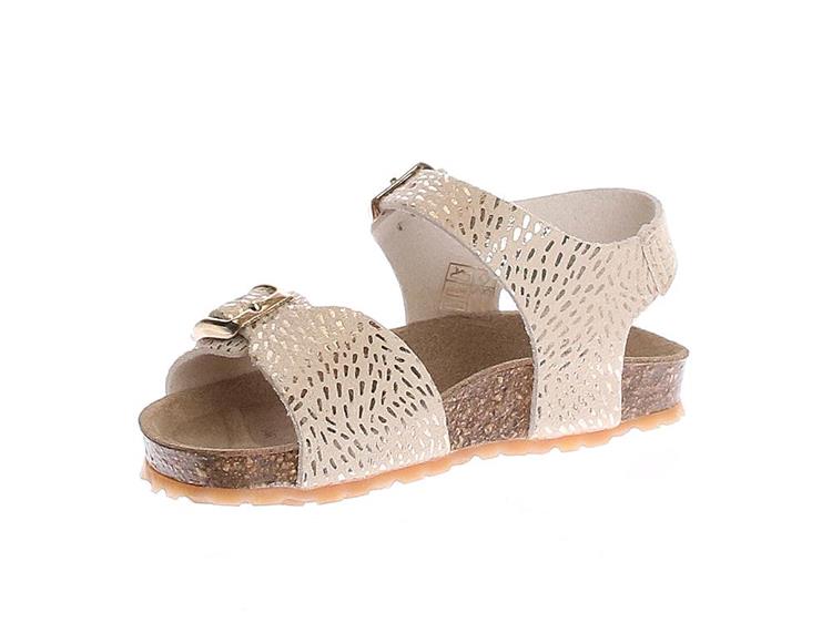 Chili Pepita 6 Goud