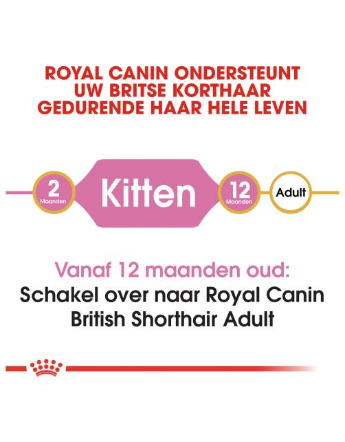 Royal Canin British Shorthair Kitten - Kitten-Kattenvoer
