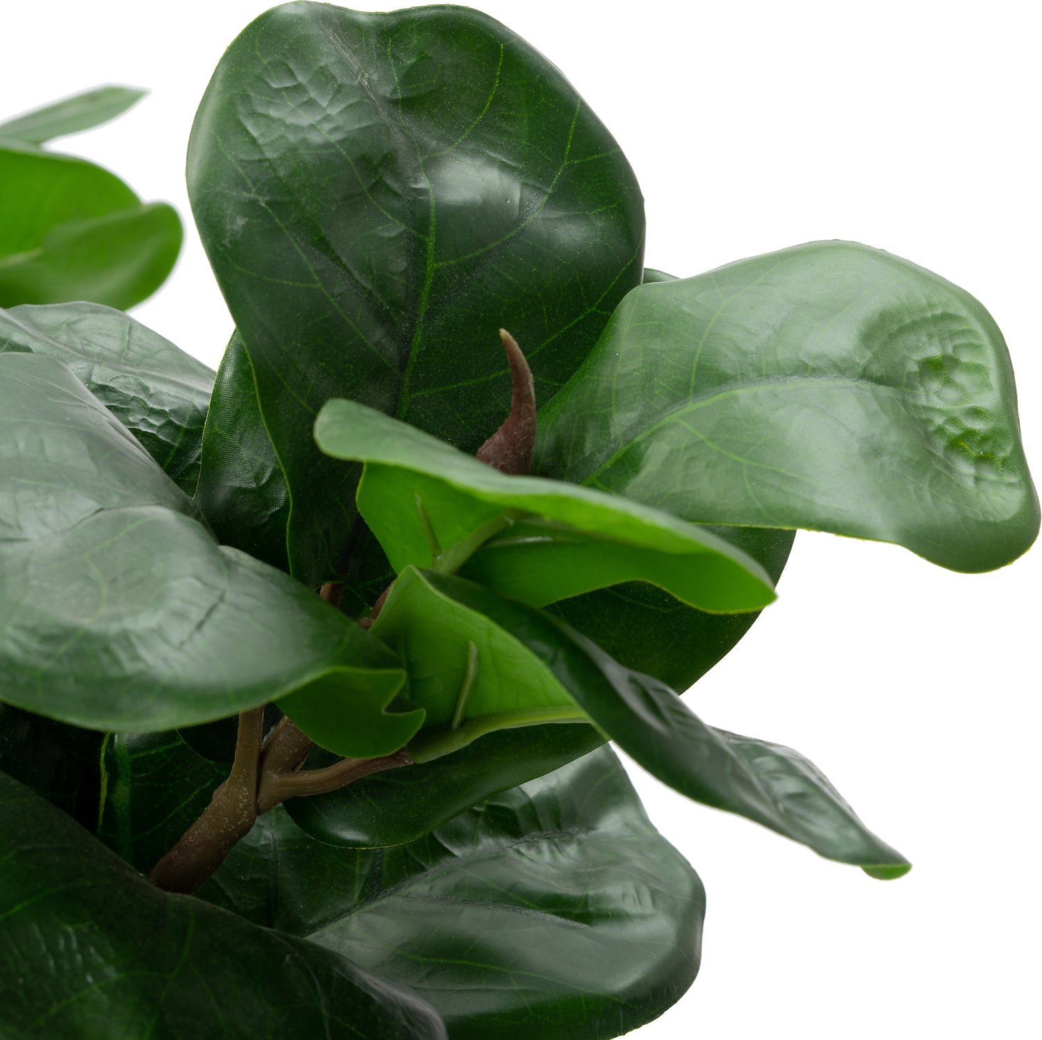 Intratuin kunstplant Vioolbladplant 35 x 35 x 104 cm