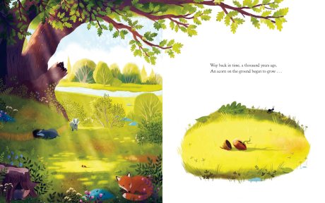 The Oak Tree (Hardback)