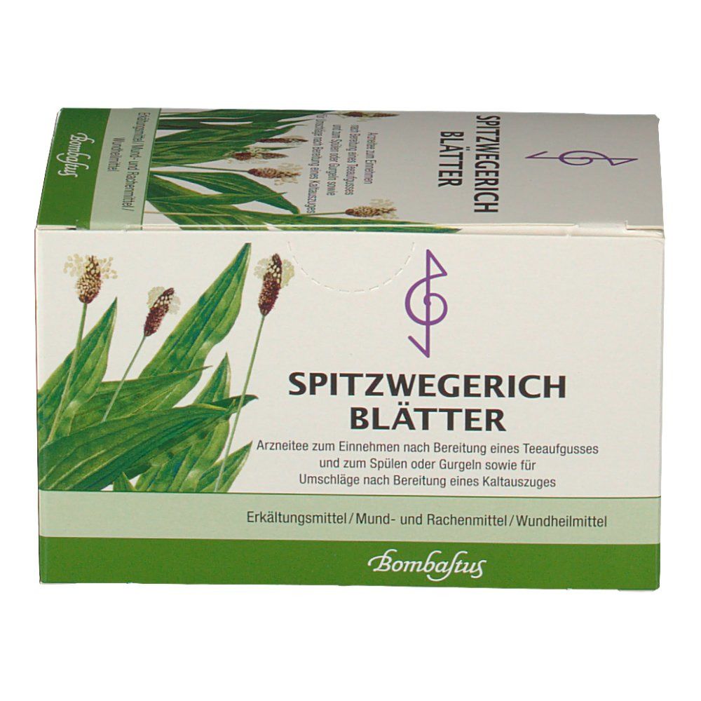 Bombastus Spitzwegerich Blätter