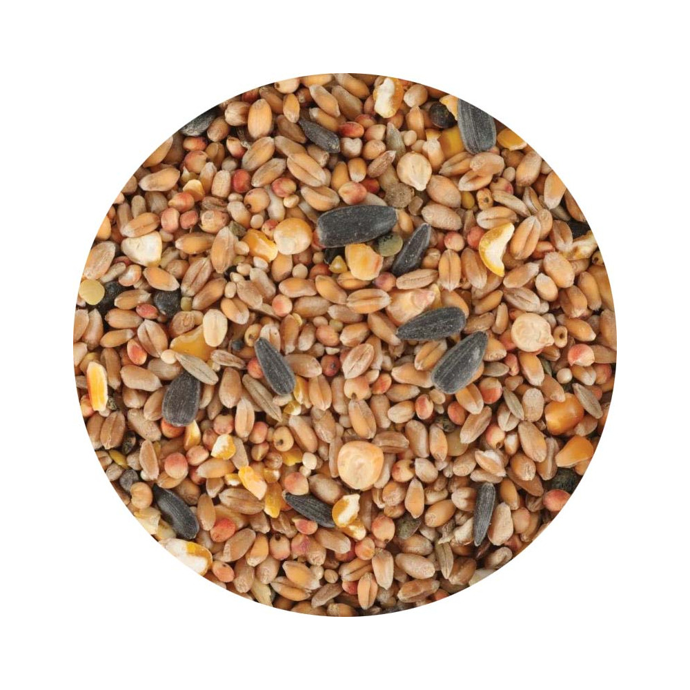 Mélange de graines pour oiseaux du jardin (lot de 3)