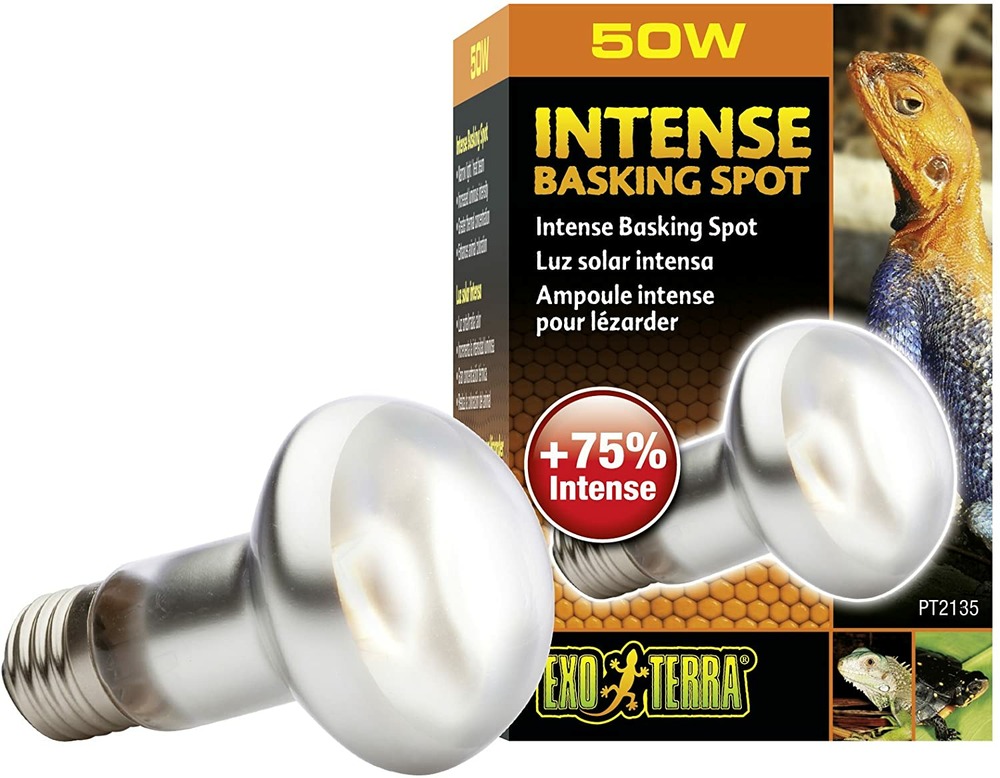 Lampe intense basking spot reptiles