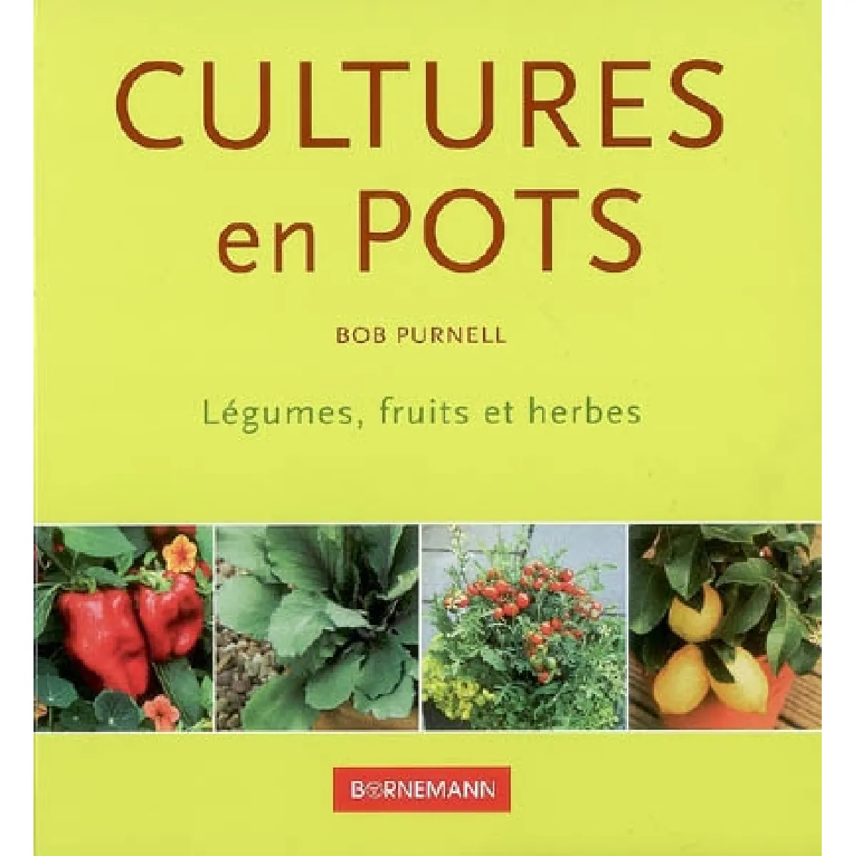 Cultures en pots : légumes, fruits et herbes · Occasion