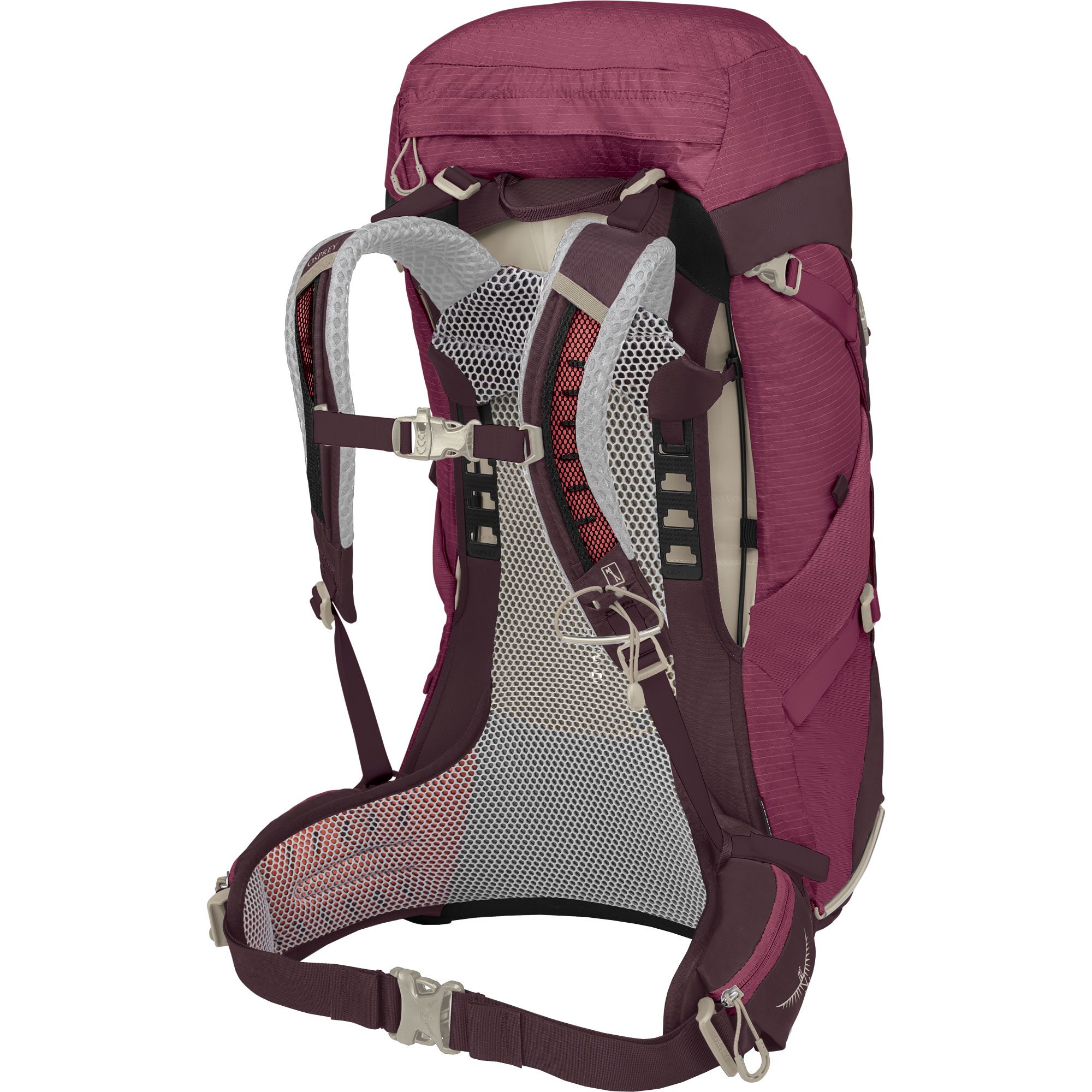 Osprey Sirrus™ 36l Trekkingrucksack Damen elderberry purple