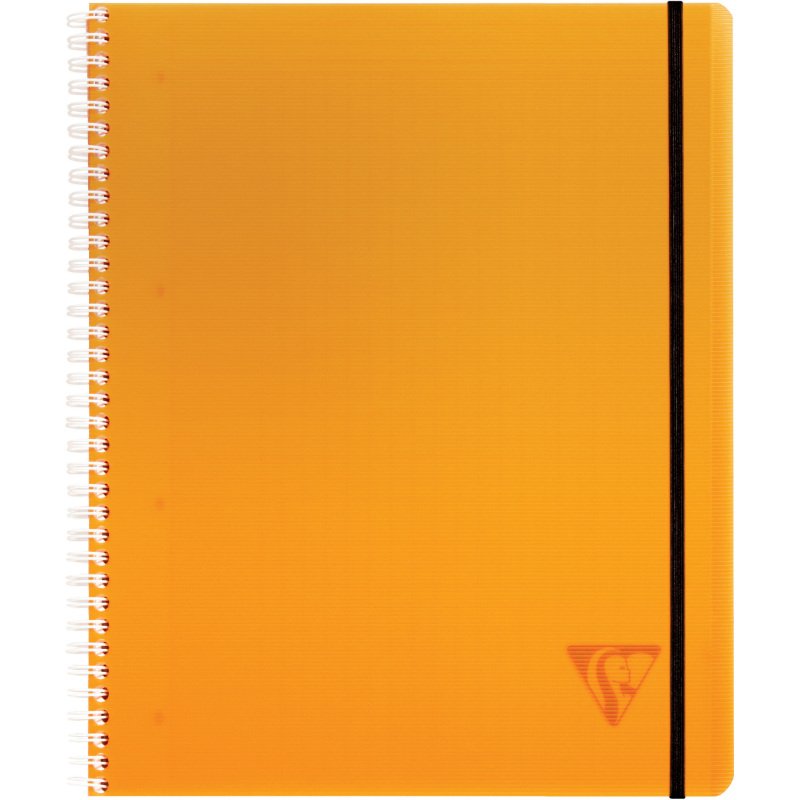 Cahier spirale Clairefontaine Proactiv'Book Linicolor Fesh 22,5 x 29,7 cm assorti aléatoire grands carreaux avec cadre en-tête-160 pages