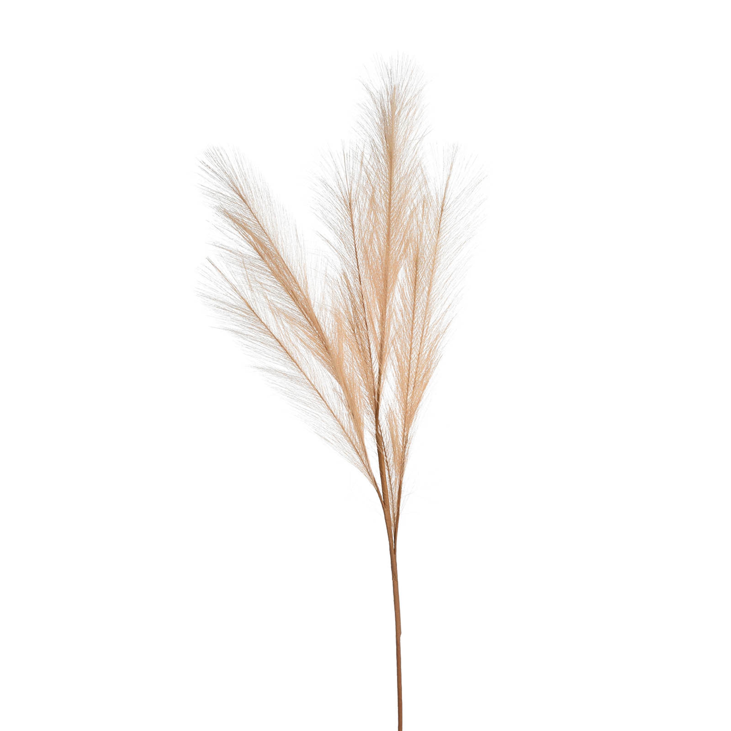creme, L 100 cm