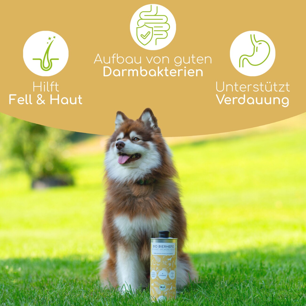 Wolfsbacher Natur Futteröl Set 3 x 1 Liter