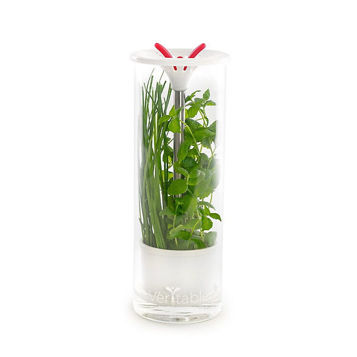Conservateur à herbes aromatiques Véritable®