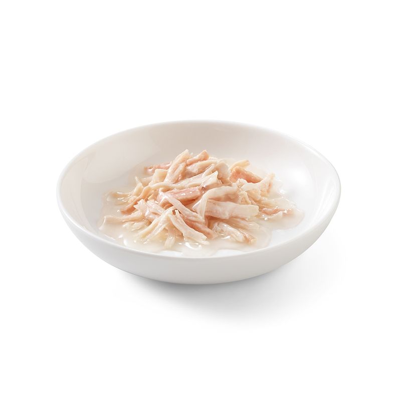 Schesir Natural en sauce 24 x 70 g