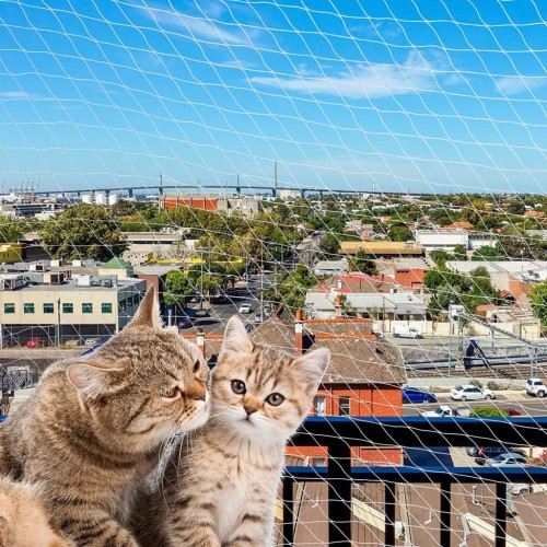 Rede de segurança para gatos