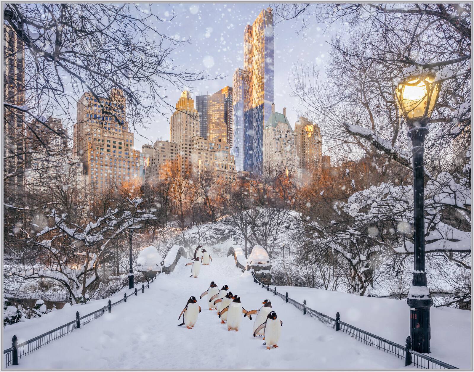 Central Park Penguins by Robert Jahns - Open Edition.