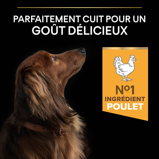 Croquettes chien adulte stérilisé de petite taille au poulet - 3 kg