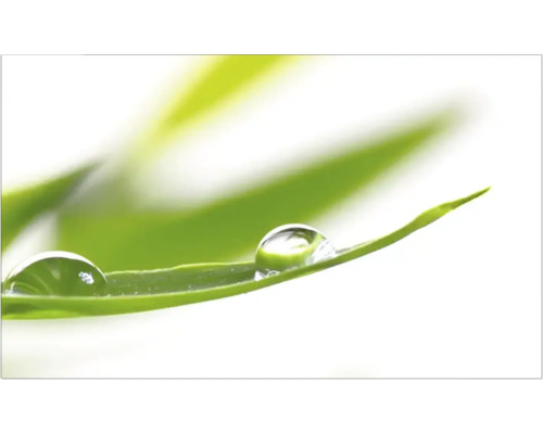 Keukenachterwand mySpotti Profix Dew Drop 100 x 60 cm PX-10060-53-HB