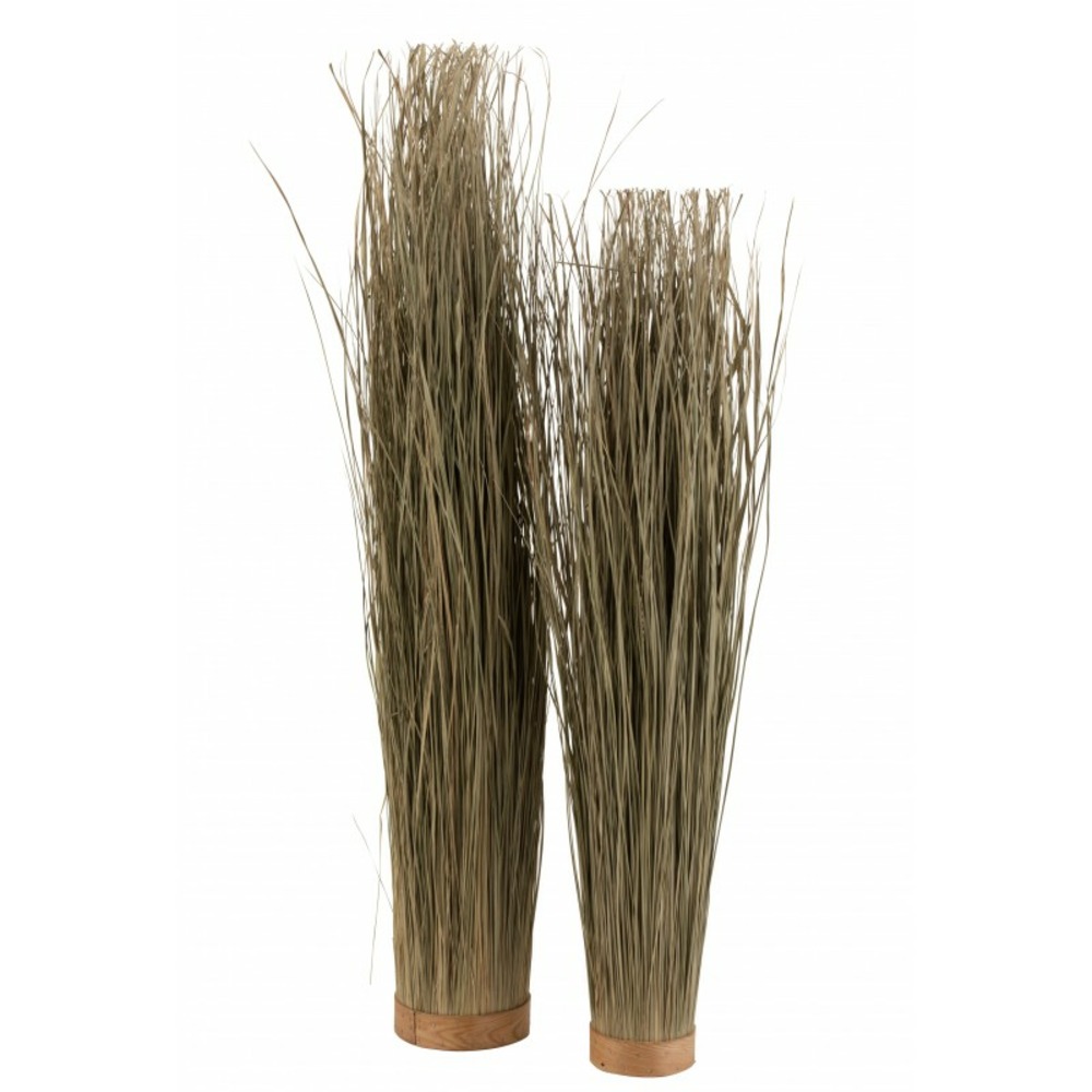 Herbes séchées verte 15x15x110 cm