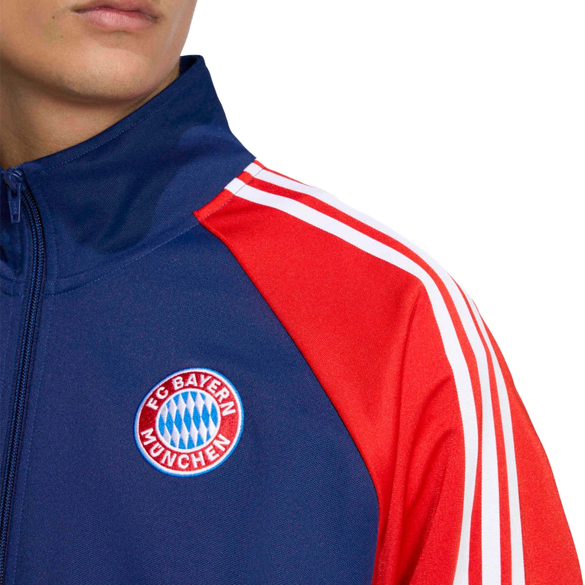 Casaco adidas Fc Bayern Lifestyler Fanswear 2025-2026