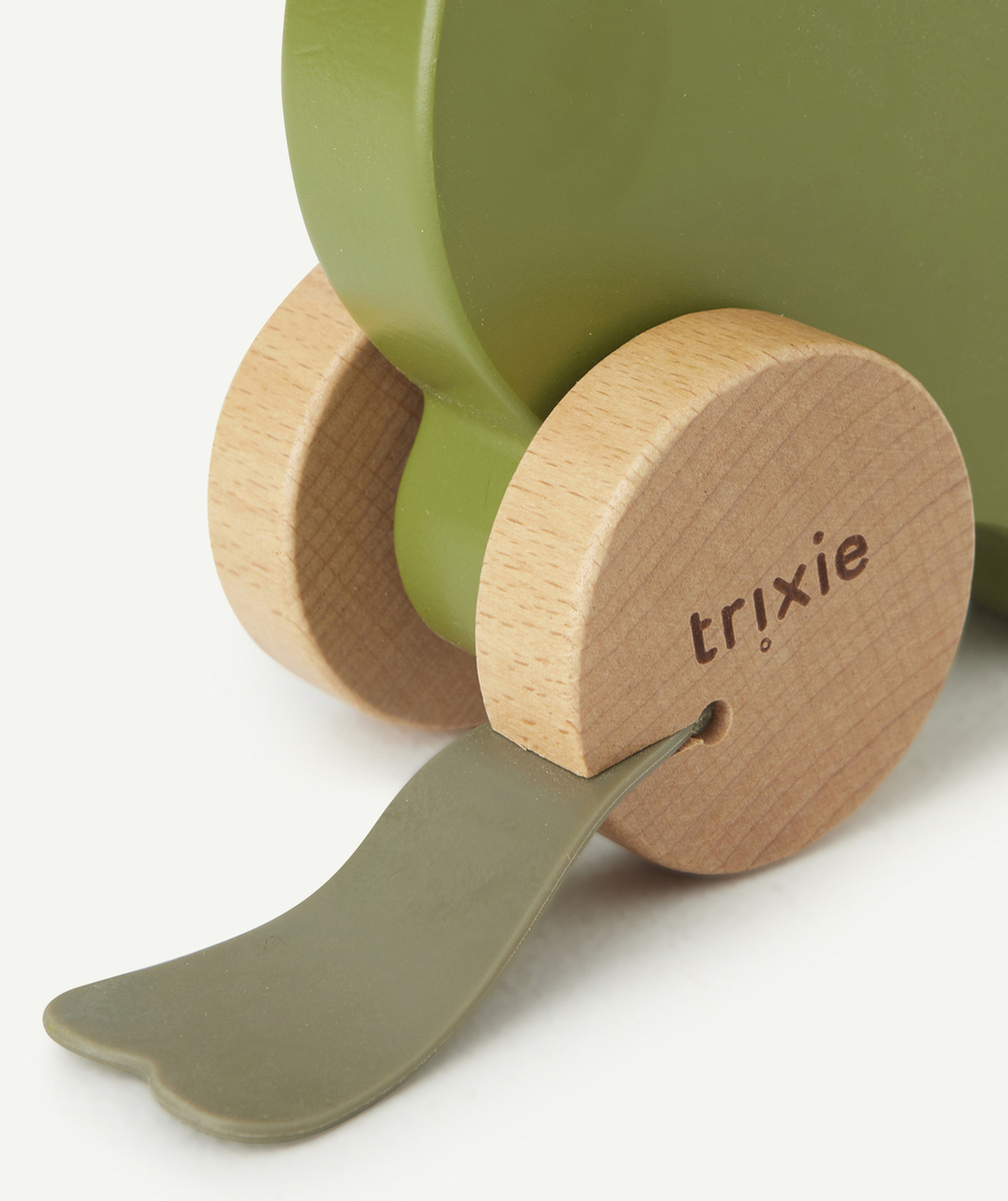 TRIXIEJOUET À POUSSER EN BOIS MONSIEUR DINO