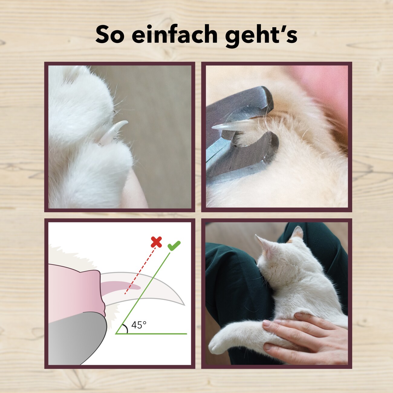 LEO LÖWENKATZ Krallenschere speziell für Katzen