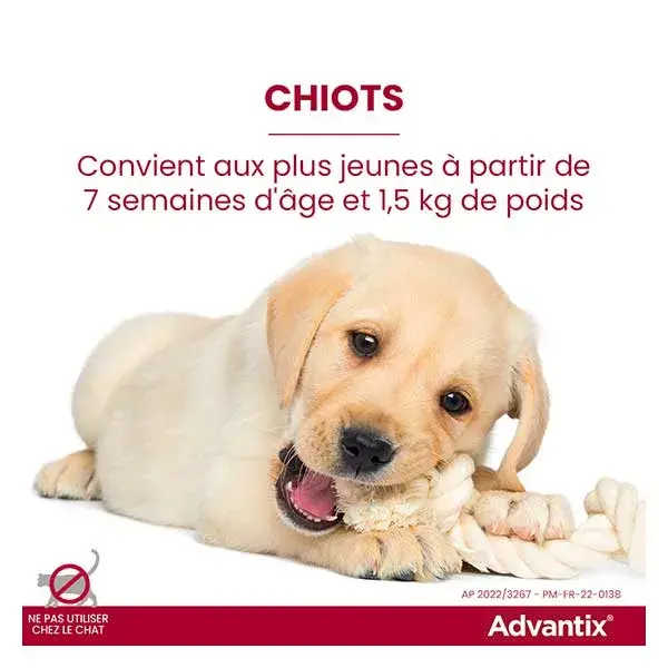 Solução Advantix para tratamento de pulgas e carrapatos em cães de porte médio, 10-25 kg, 6 pipetas.