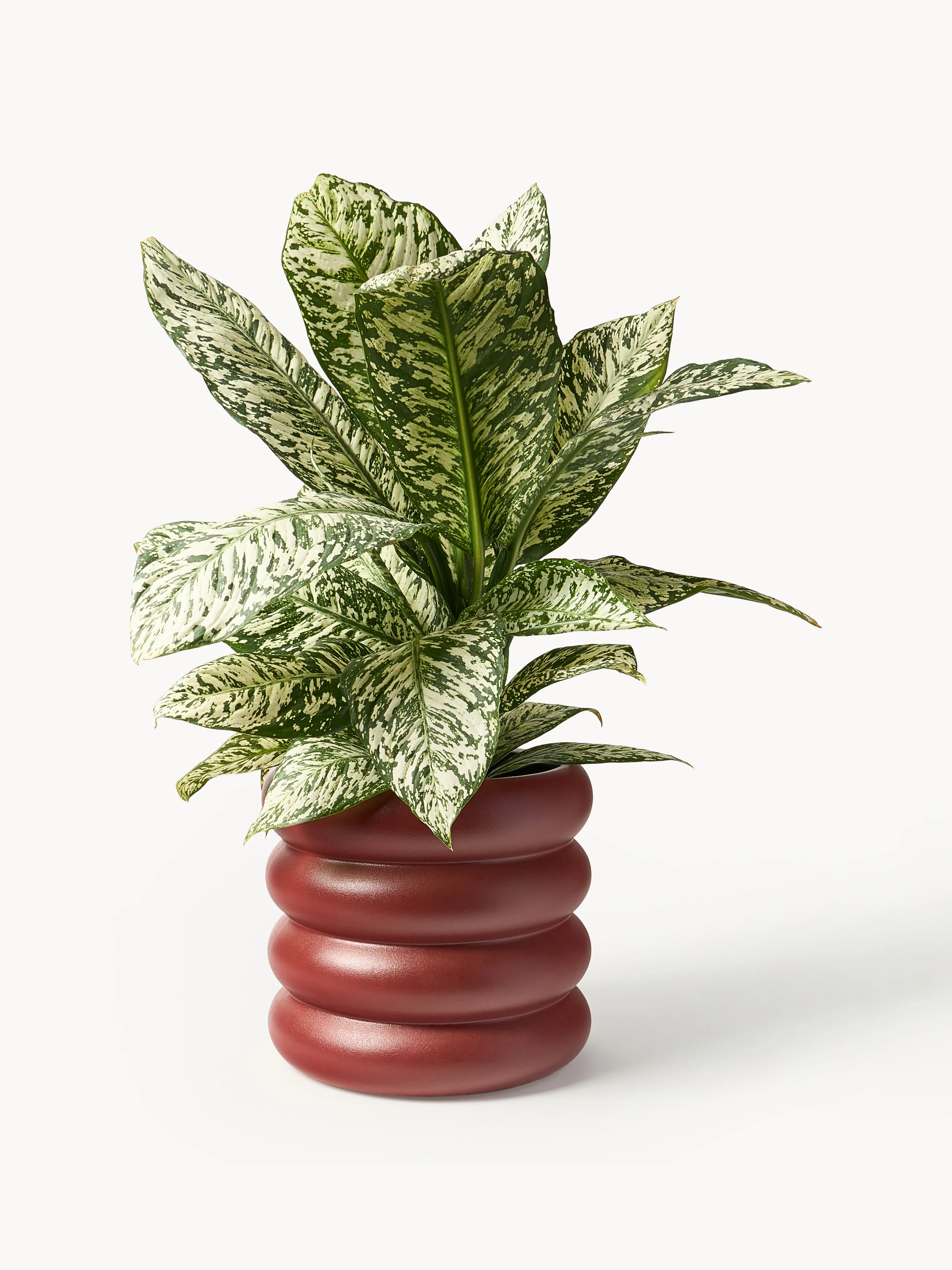 Plantenpot Rudi van keramiek, H 30 cm 9
