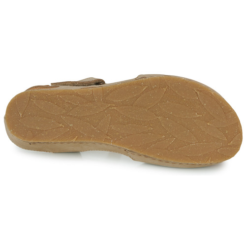 El Naturalista - PICUAL Beige