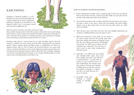 The Wild Handbook: Seasonal activities to help you reconnect with nature (Hardback)