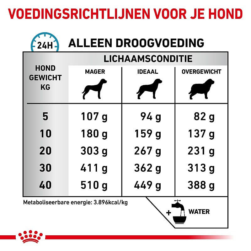 ROYAL CANIN® Skin Care - Dieetvoeding voor als je volwassen hond een huidaandoening of overmatige haaruitval heeft