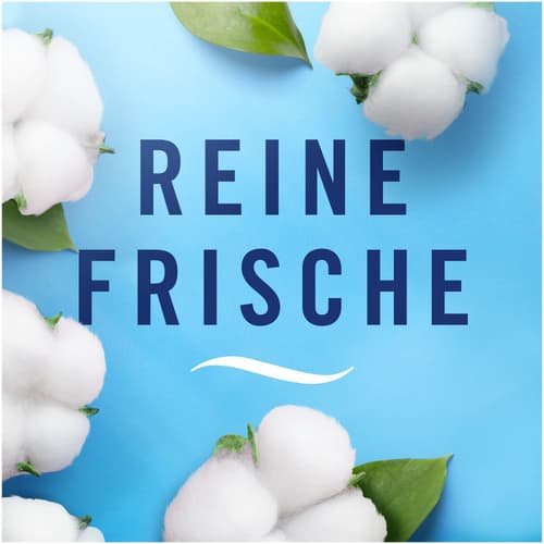 Febreze 3Volution Duftstecker Nachfüllflakon Reine Frische