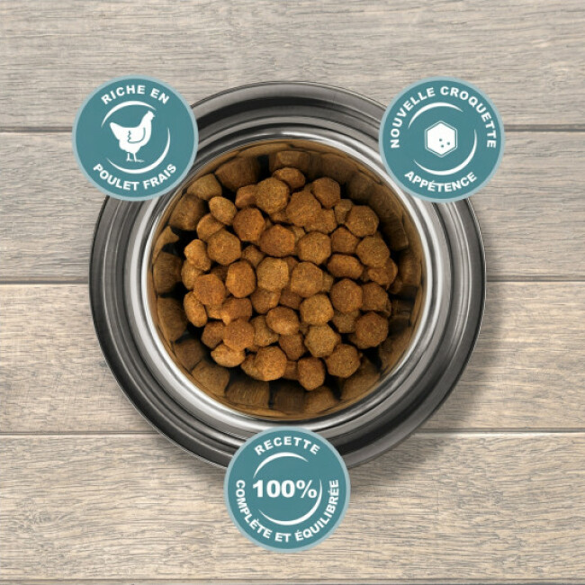 Croquettes Eukanuba Adulte Moyennes Races