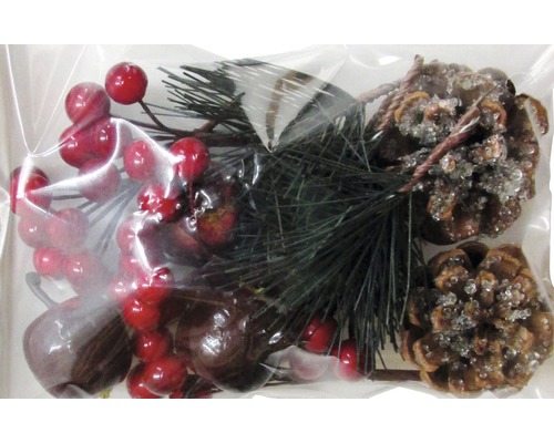 Knutselpakket: takjes en dennenappels, natuurlijk