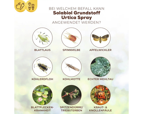 Urtica Solabiol Plantenversterker 1 L Gebruiksklare pompspray voor maximaal 15 m²
