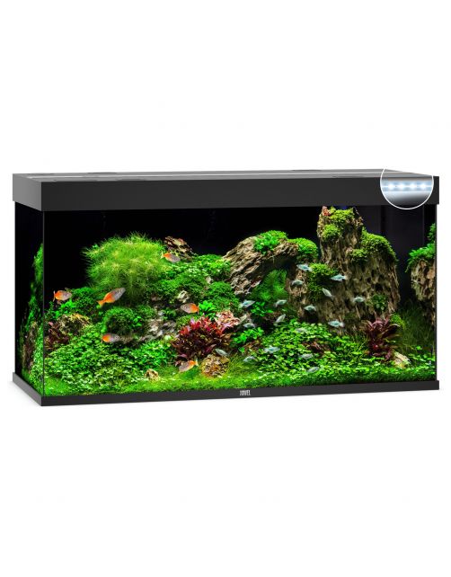 Juwel Aquarium Rio 350 Led 121x51x66 cm - Aquaria
