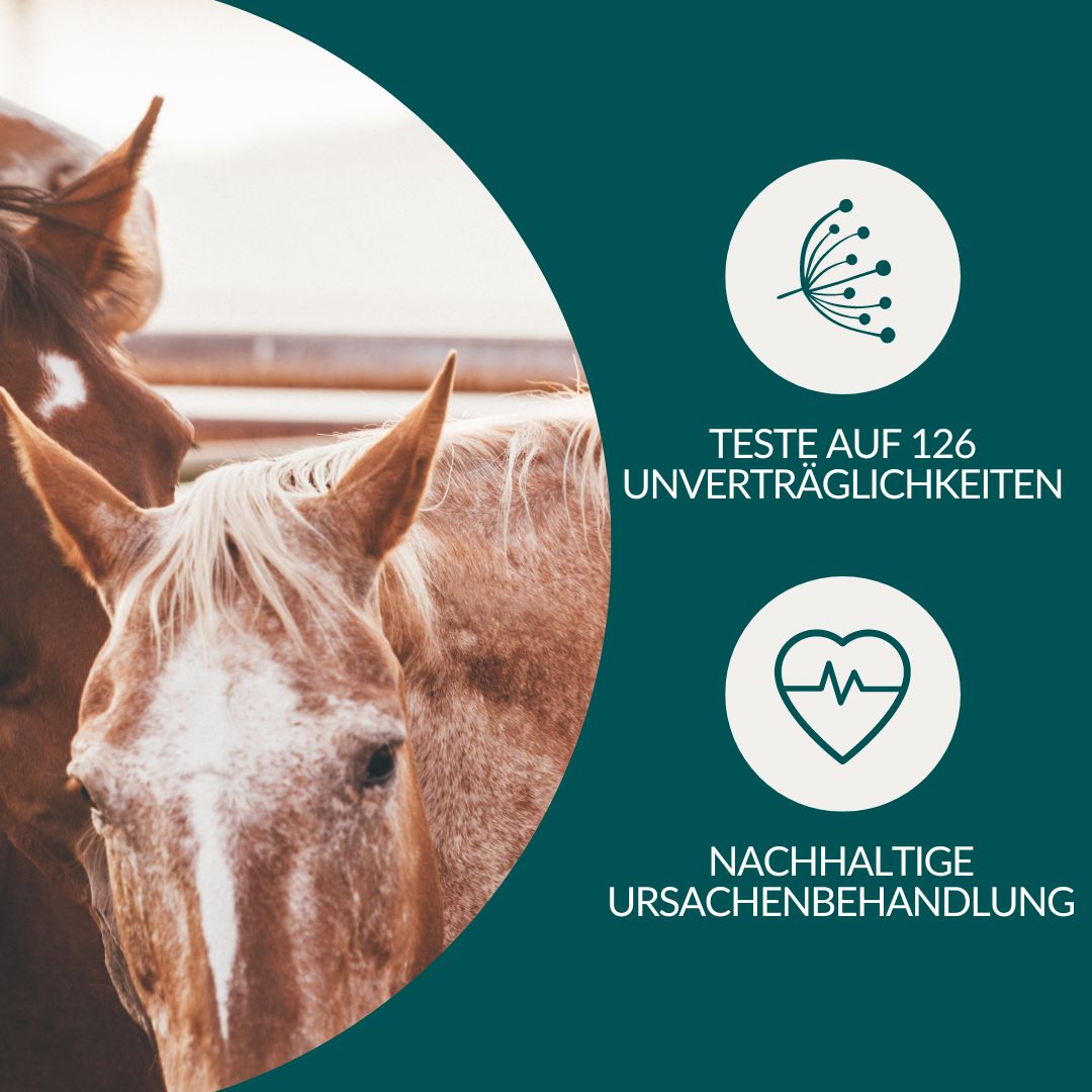 Allergietest - Gemüse, Obst & Co. Pferd
