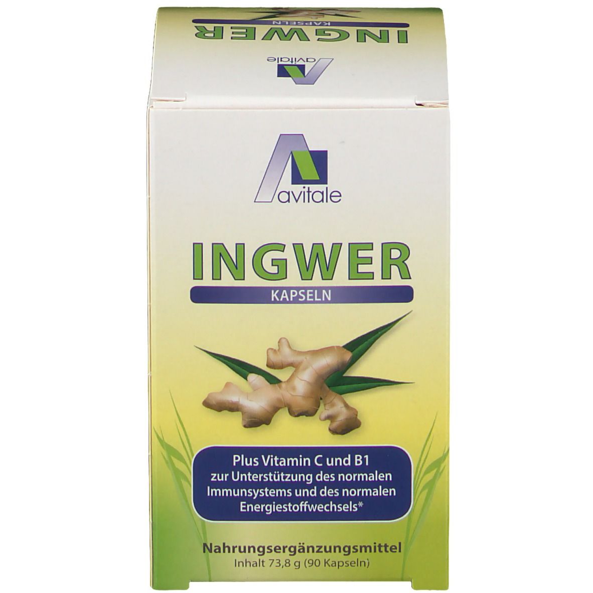 Avitale Ingwer