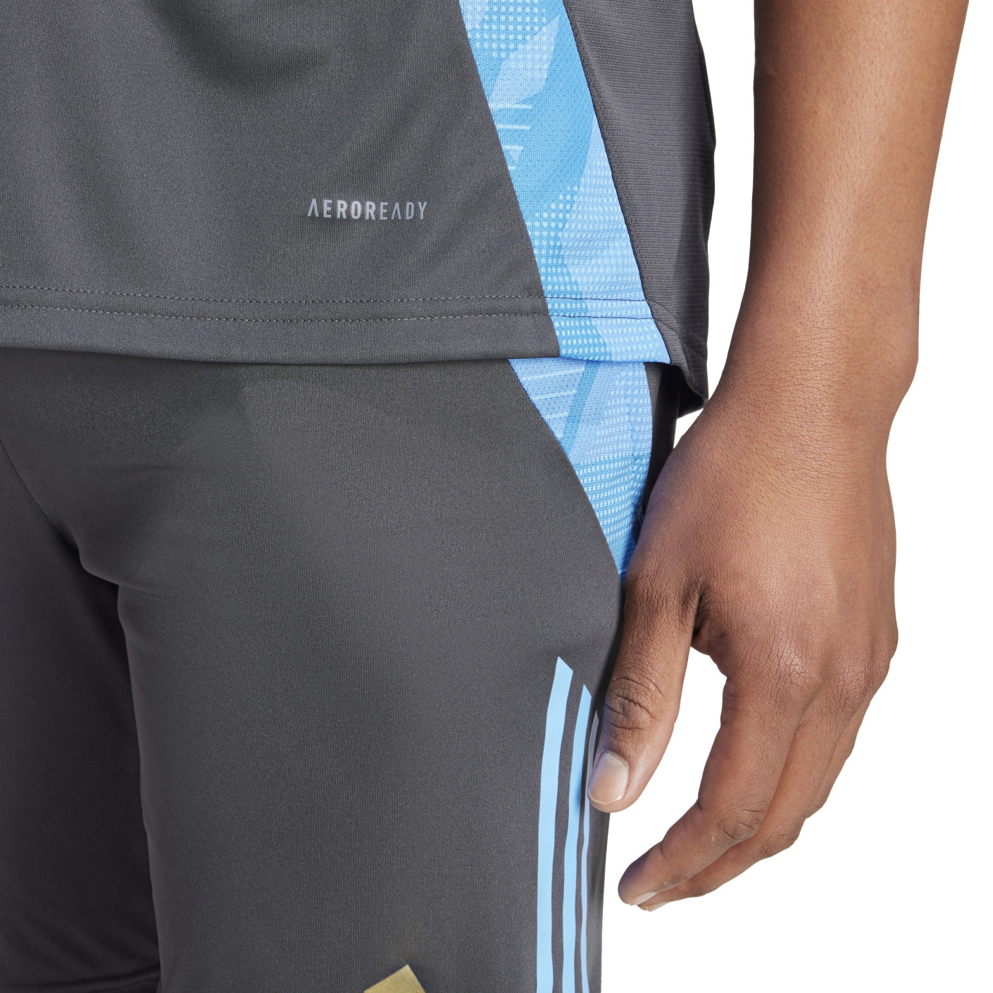Adidas Argentinië Trainingsshirt 2024-2026 Donkergrijs Lichtblauw Goud