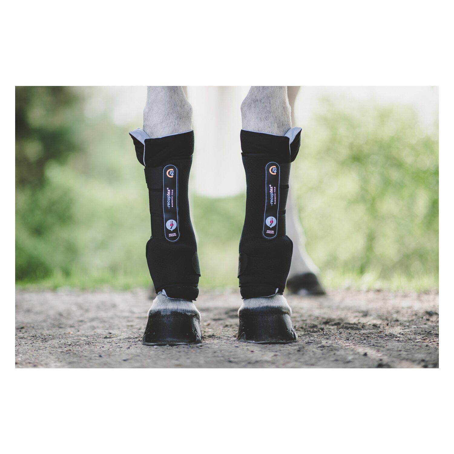 KENTUCKY Magnetic Stable Boot Recuptex - Warmblut