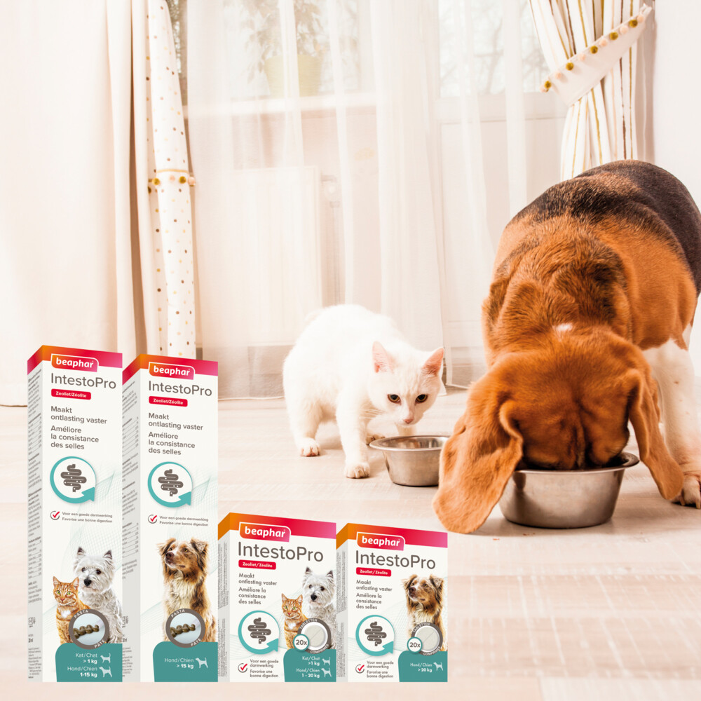 Beaphar IntestoPro Hond vanaf 20 kg20 tabletten