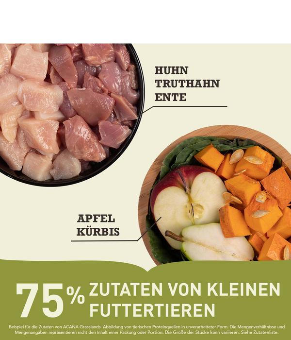 ACANA Trockenfutter für Katzen Regionals Cat