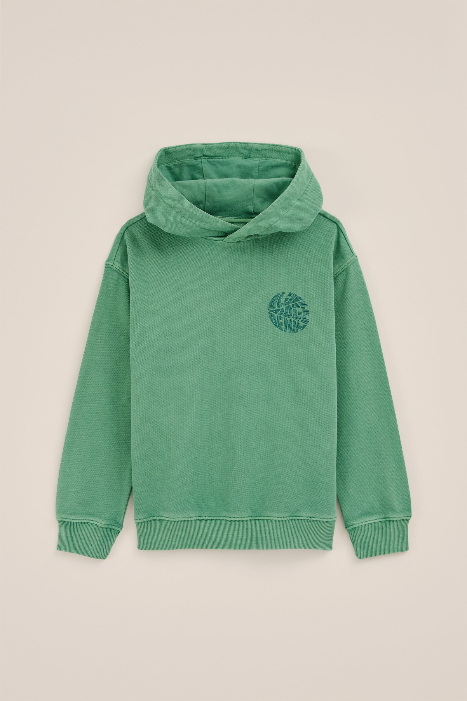 Jongens hoodie met opdruk Blue Ridge Lichtgroen