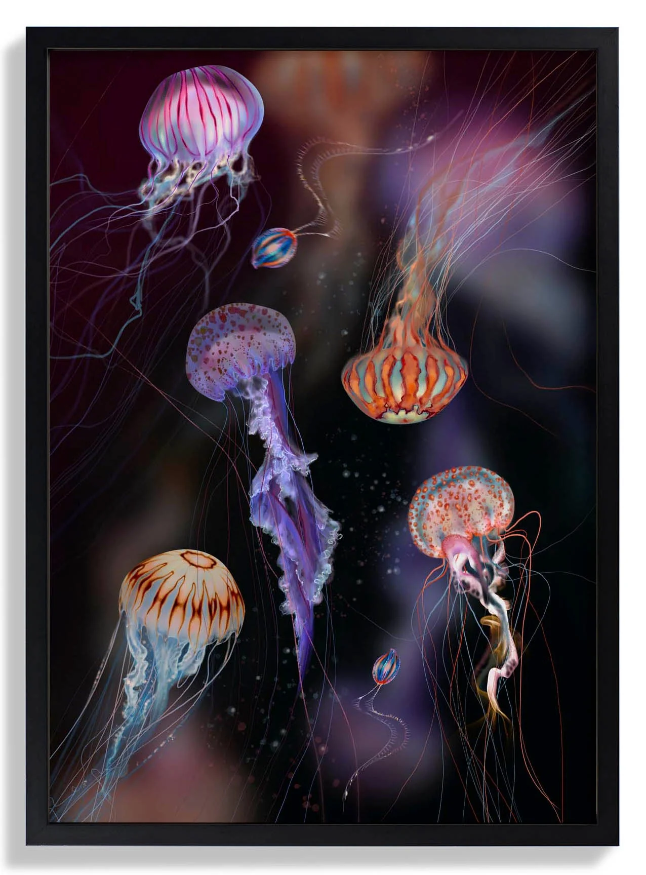 Jelly Party Jellyfish von Julia Charlott